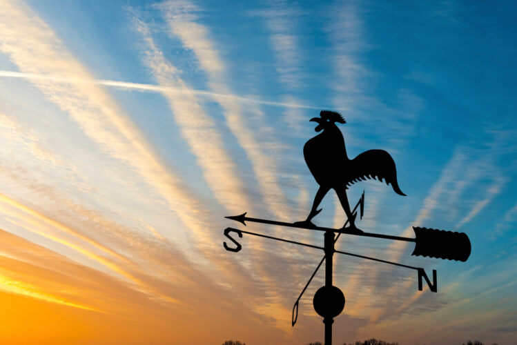How to Make a Homemade Weather Vane Mother Earth News